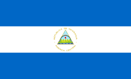 NI flag