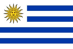 UY flag