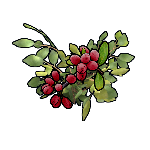 Clone Red Berry