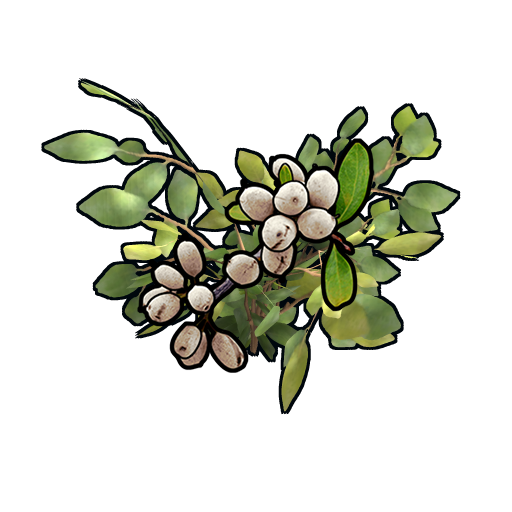 Clone White Berry