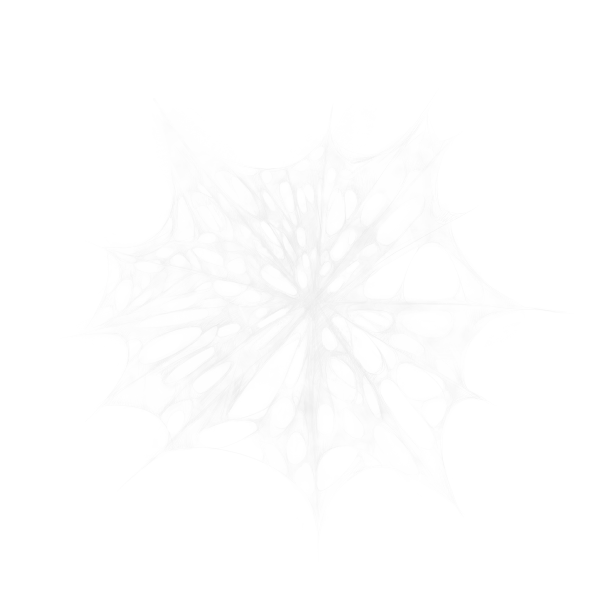 Spiderweb